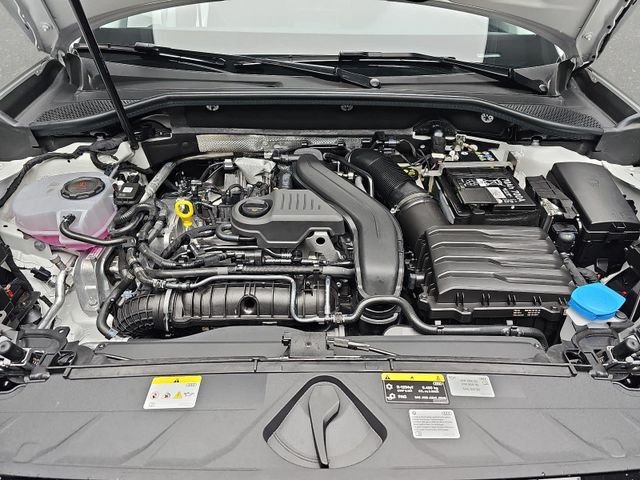 Vue 19