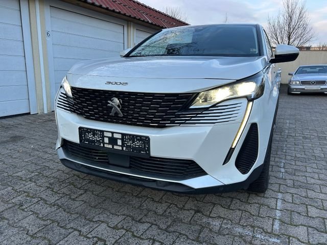 Vue 5